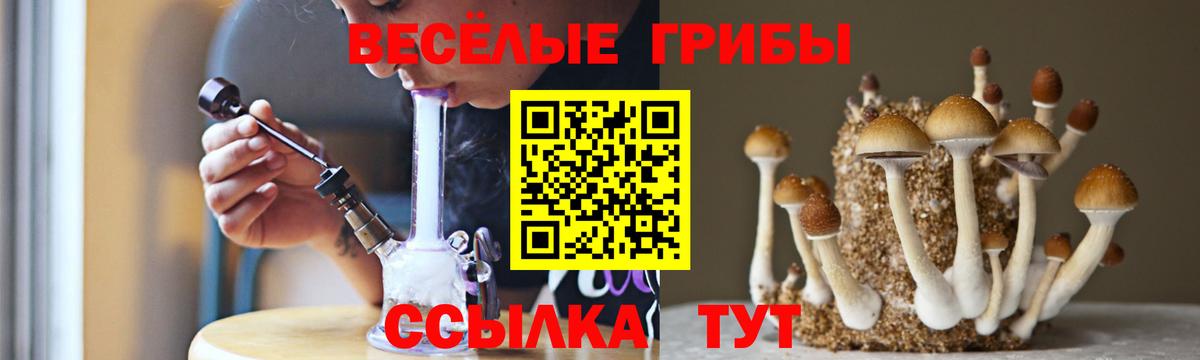купить наркотик  Вход с VPN  Красный Сулин  Псилоцибиновые грибы мицелий 